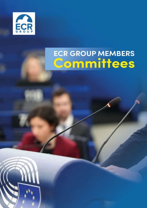 ECR Group Members Committees