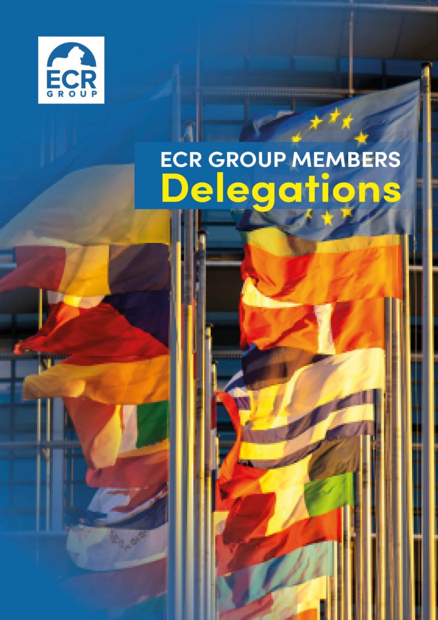ECR Group Members Delegations